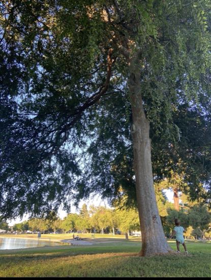 Heartwell Park